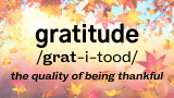 Tips For Leaders to Cultivate Gratitude | Fahrenheit Advisors | November 2020
